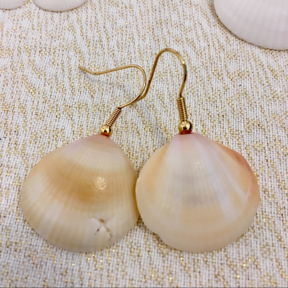 Seashell earrings